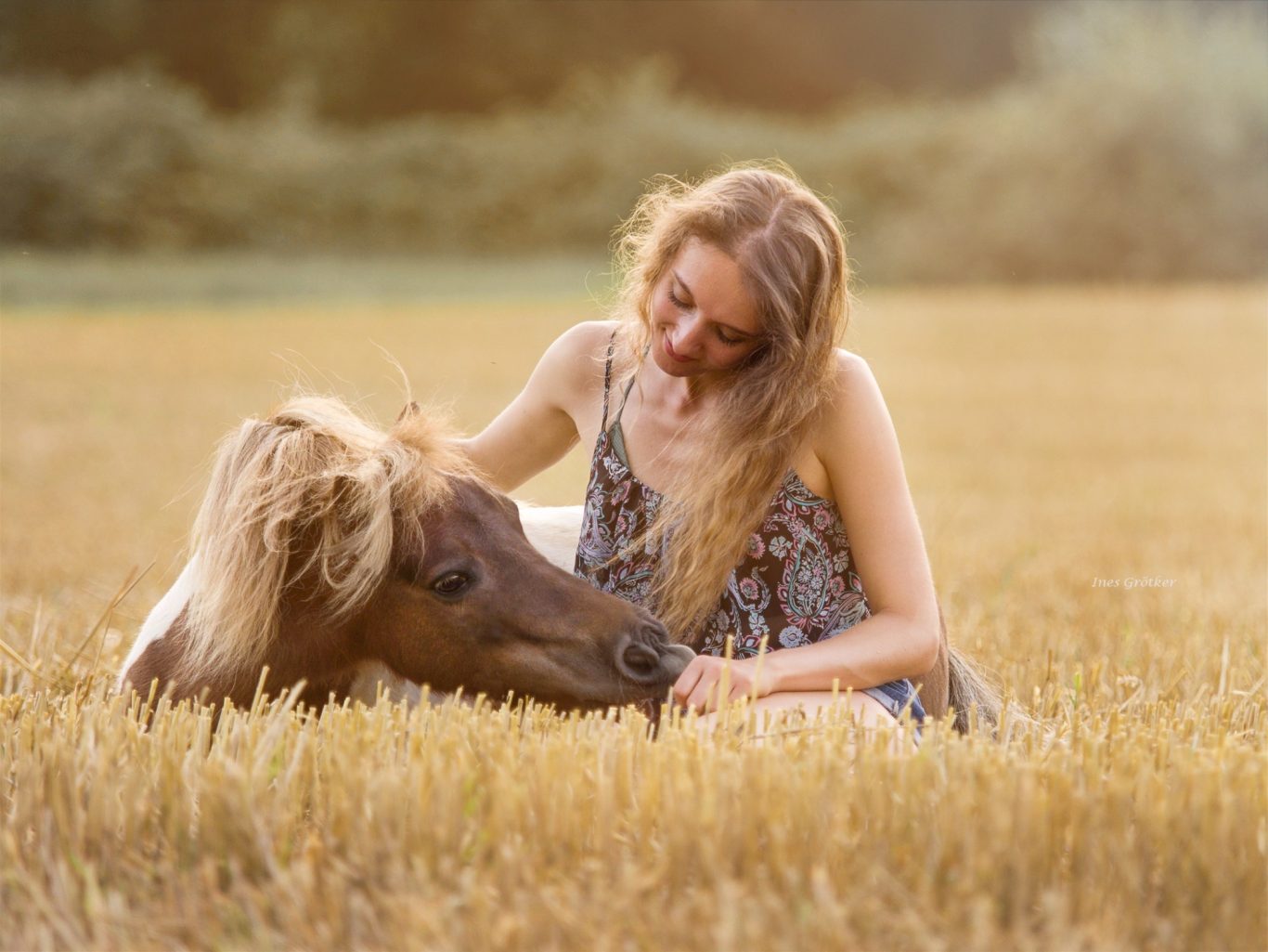 Ein Mädchen sitzt im Feld und streichelt ein ruhendes Fohlen.